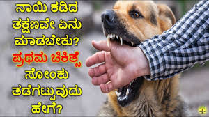 ನಾಯಿ ಕಡಿತ – ತಿಳಿದಿರಬೇಕಾದ ಸಂಗತಿಗಳು