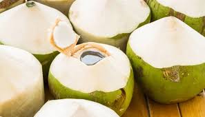 ಬೀರು ಬೇಸಿಗೆಯಲ್ಲಿ ಬೇಕೇ ಬೇಕು ಎಳನೀರು , ಅದರ ಉಪಯೋಗಗಳು