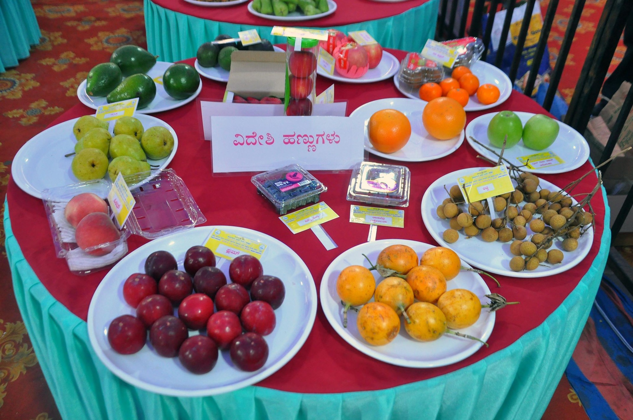ಕೊಪ್ಪಳ ಹಣ್ಣು-ಜೇನು ಹಬ್ಬ: ಮಹಾ ಶಿವರಾತ್ರಿ ಪ್ರಯುಕ್ತ ತೋಟಗಾರಿಕೆ ಇಲಾಖೆಯ ವಿಶೇಷ ಕಾರ್ಯಕ್ರಮ -- ವಿವಿಧ ಹಣ್ಣುಗಳ, ಅಣಬೆ, ಜೇನು ಪ್ರದರ್ಶನ ಮತ್ತು ಮಾರಾಟ ಮೇಳಕ್ಕೆ ಜಿಲ್ಲಾ ಉಸ್ತುವಾರಿ ಸಚಿವರಿಂದ ಚಾಲನೆ