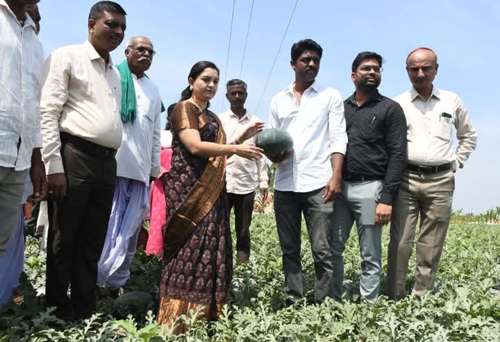 ಹಳದಿ ಕಲ್ಲಂಗಡಿ ಬೆಳೆ ಕ್ಷೇತ್ರೋತ್ಸವ ಕಪ್ಪು ಮಣ್ಣಿನಲ್ಲಿ ಹಳದಿ ಕಲ್ಲಂಗಡಿ ಬೆಳೆದು ರೈತರ ಸಾಧನೆ; ರೈತರು ಸುರಕ್ಷಿತರಾಗಿದ್ದರೆ ಕೃಷಿ ಇನ್ನಷ್ಟು ಸದೃಡ: ಜಿಲ್ಲಾಧಿಕಾರಿ ದಿವ್ಯ ಪ್ರಭು.