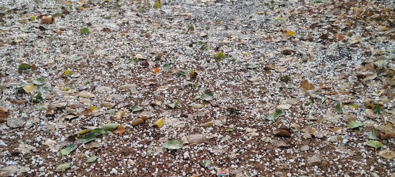 ಬಿರುಗಾಳಿ ಮಳೆಗೆ ಬಿದ್ದಿರುವ ಆಲಿಕಲ್ಲು