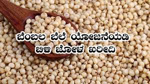 ಕನಿಷ್ಠ ಬೆಂಬಲ ಯೋಜನೆಯಡಿ ಜೋಳ ಖರೀದಿ