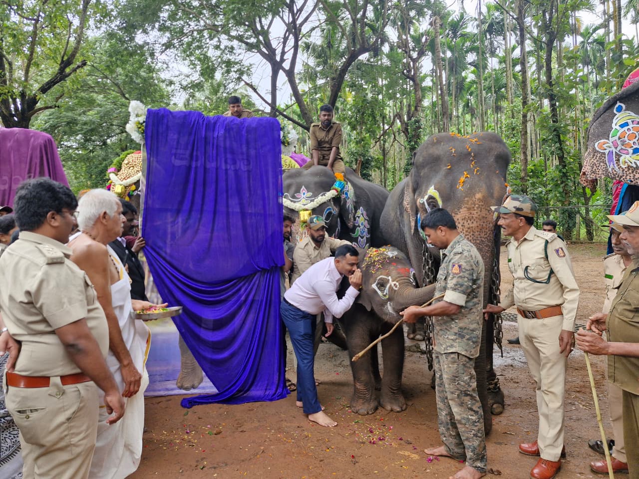 ವಿಶ್ವ ಆನೆಗಳ ದಿನಾಚರಣೆ - 2025 ಆನೆ ಸಂರಕ್ಷಣೆ-ಸಹಭಾಳ್ವೆ ಸಂದೇಶ ಸಾರುವ ದಿನ : ಕೆ ಟಿ ಹನುಮಂತಪ್ಪ
