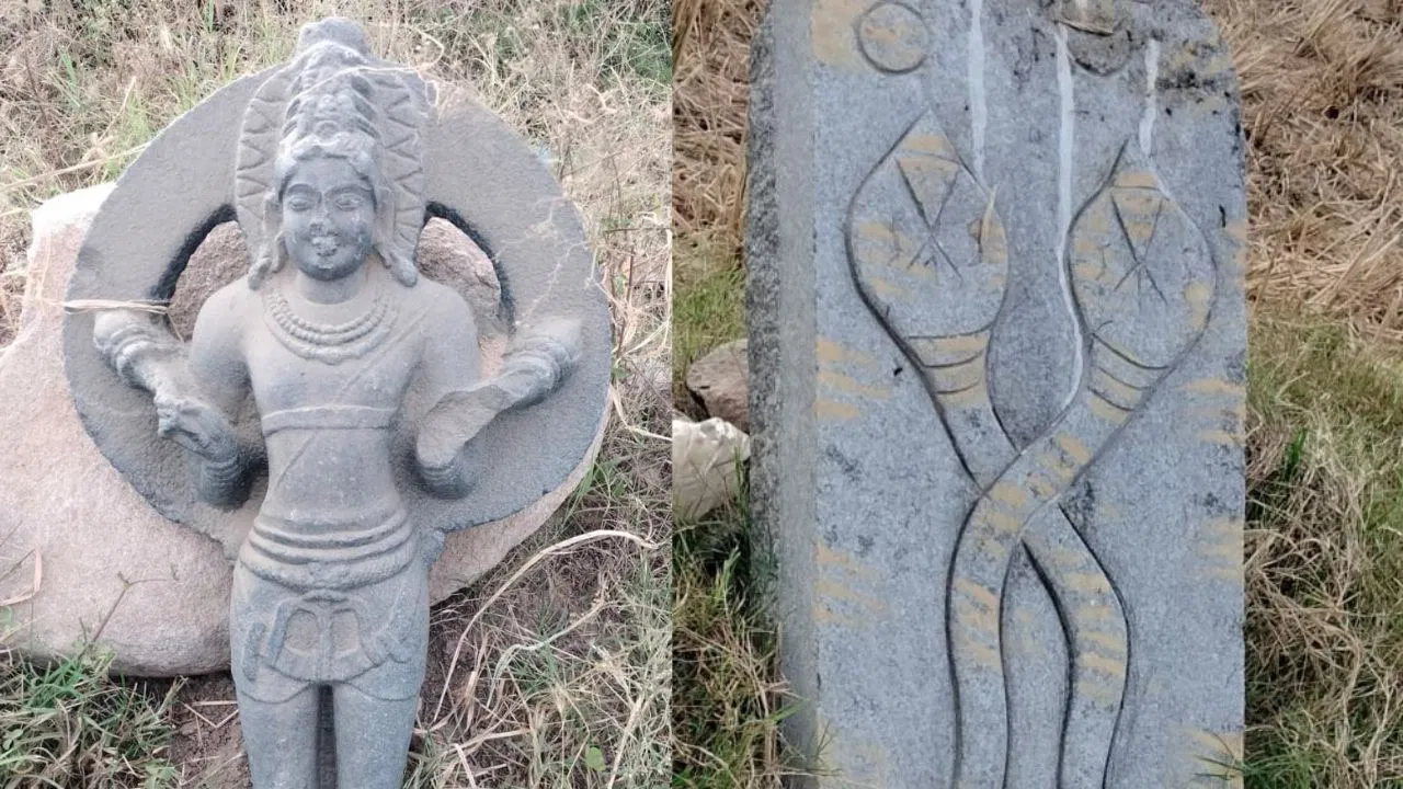 ಭತ್ತದನಾಡು: ಸಿರುಗುಪ್ಪದ ಬಲಕುಂದೆ ಗ್ರಾಮದಲ್ಲಿಸಿಂಧೂರ ರಾಜರ ಕಾಲದ ಅಪರೂಪದ , ಬ್ರಹ್ಮಸೂರ್ಯ.  ಮೂರ್ತಿಗಳು ಪತ್ತೆ