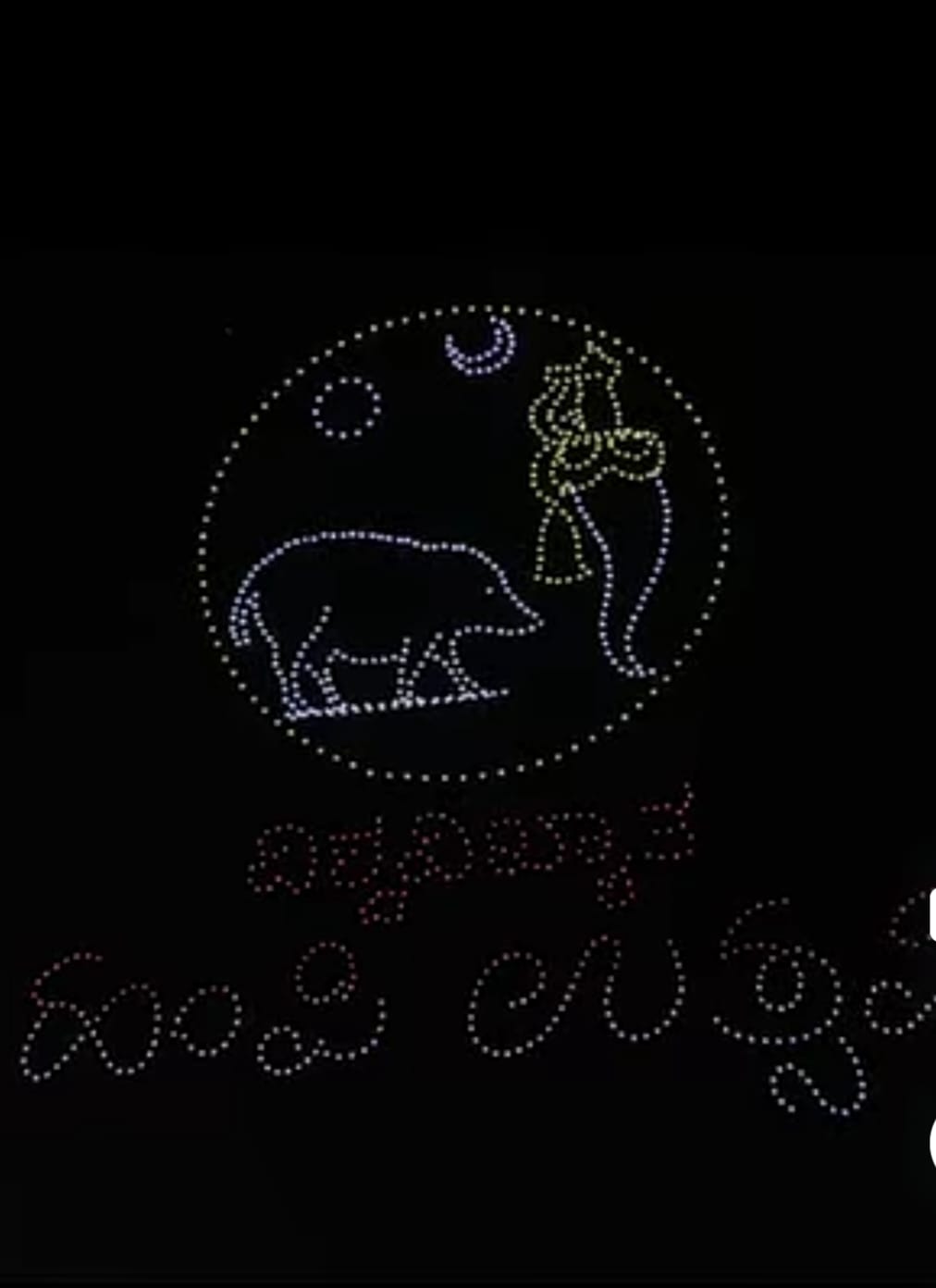 ಹಂಪಿ ಆಕಾಶದಲ್ಲಿ ಅರಳಿದ ಅದ್ಭುತ ಲೋಕ – ಡ್ರೋನ್ ಶೋ ಮೂಲಕ ಮರುಸೃಷ್ಟಿಯಾದ ವಿಜಯನಗರ ವೈಭವ