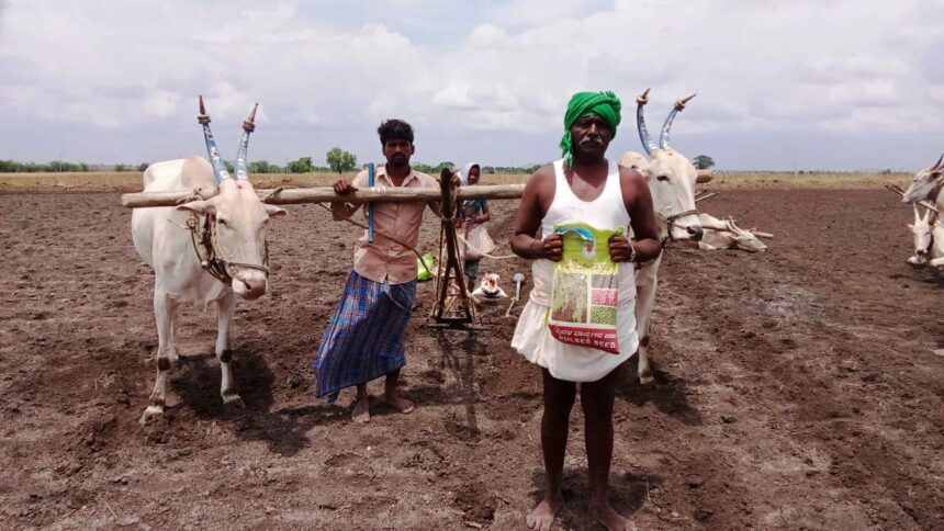 ತಾಲೂಕಿನಾದ್ಯಂತ 9ಸಾವಿರ ಹೆಕ್ಟೇರ್‌ನಲ್ಲಿ ಬಿತ್ತನೆ: