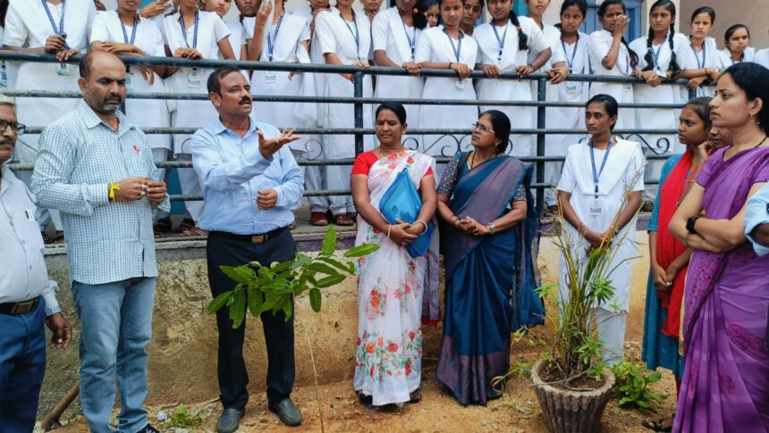 ನಮ್ಮ ಸುತ್ತಮುತ್ತಲಿನ ಪರಿಸರದಲ್ಲಿ ಗಿಡಮರಗಳನ್ನು ನೆಡುವುದರ ಮೂಲಕ ನಾವುಗಳು ಜಾಗತಿಕ‌ ತಾಪಮಾನವನ್ನು ತಡೆಗಟ್ಟಬಹುದಾಗಿದೆ