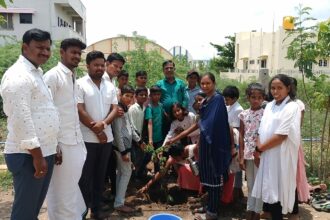 ನಂದಿ ಪಬ್ಲಿಕ್ ಶಾಲೆಯಲ್ಲಿ ವನಸಿರಿ ಫೌಂಡೇಶನ್ ವತಿಯಿಂದ ವಿಶ್ವ ಪರಿಸರ ದಿನಾಚರಣೆ