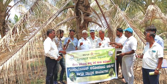 ತೆಂಗಿನ ತೋಟಗಳಿಗೆ ತಗಲುವ ಕಪ್ಪುತಲೆ ಹುಳುಗಳ ನಿರ್ವಹಣಾ ಕ್ರಮಗಳು