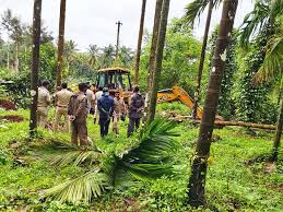 ಅರಣ್ಯ ಜಮೀನು ಒತ್ತುವರಿ : ಶಿಕ್ಷೆ ನೀಡಿ ತೀರ್ಪು