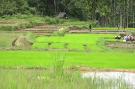 ಸೆಪ್ಟಬಂರ್ ತಿಂಗಳಿಂದ ಪೋಡಿ ಅಭಿಯಾನಕ್ಕೆ ಚಾಲನೆ