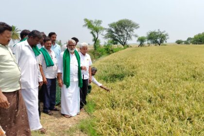 ಆಲಿ ಕಲ್ಲು ಮಳೆಯಿಂದಾಗಿ ಸುಮಾರು 50 ರಿಂದ 60 ಕೋಟಿ ರೂಪಾಯಿಗಳಷ್ಟು ನಷ್ಟವಾಗಿದೆ.  ಸರಕಾರ ರೈತರಿಗೆ ಶೀಘ್ರ ಪರಿಹಾರ ನೀಡಲಿ ರೈತ ಮುಖಂಡ ಆರ್. ಮಾಧವ ರೆಡ್ಡಿ ಆಗ್ರಹ