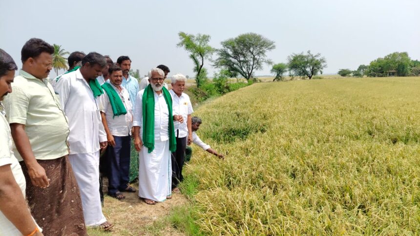 ಆಲಿ ಕಲ್ಲು ಮಳೆಯಿಂದಾಗಿ ಸುಮಾರು 50 ರಿಂದ 60 ಕೋಟಿ ರೂಪಾಯಿಗಳಷ್ಟು ನಷ್ಟವಾಗಿದೆ.  ಸರಕಾರ ರೈತರಿಗೆ ಶೀಘ್ರ ಪರಿಹಾರ ನೀಡಲಿ ರೈತ ಮುಖಂಡ ಆರ್. ಮಾಧವ ರೆಡ್ಡಿ ಆಗ್ರಹ