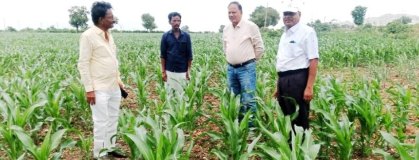 ಮೆಕ್ಕೆ ಜೋಳ ಬೆಳೆಗಾರರಿಗೆ ಕೊಪ್ಪಳ ಕೃಷಿ ವಿಸ್ತರಣಾ ಶಿಕ್ಷಣ ಕೇಂದ್ರದಿಂದ ಸೂಕ್ತ ಮಾಹಿತಿ