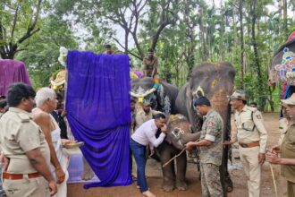 ವಿಶ್ವ ಆನೆಗಳ ದಿನಾಚರಣೆ – 2025 ಆನೆ ಸಂರಕ್ಷಣೆ-ಸಹಭಾಳ್ವೆ ಸಂದೇಶ ಸಾರುವ ದಿನ : ಕೆ ಟಿ ಹನುಮಂತಪ್ಪ