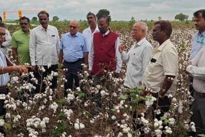 ರಾಯಚೂರಿನಲ್ಲಿ ಹತ್ತಿ ಬೆಳೆ ಹೆಚ್ಚಿನ ಸಾಂದ್ರತೆಯ ನಾಟಿ ಪದ್ಧತಿಯ ಕ್ಷೇತ್ರೋತ್ಸವ, ರೈತರ ಸಂವಾದ ಯಶಸ್ವಿ