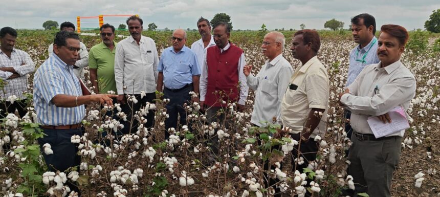 ರಾಯಚೂರಿನಲ್ಲಿ ಹತ್ತಿ ಬೆಳೆ ಹೆಚ್ಚಿನ ಸಾಂದ್ರತೆಯ ನಾಟಿ ಪದ್ಧತಿಯ ಕ್ಷೇತ್ರೋತ್ಸವ, ರೈತರ ಸಂವಾದ ಯಶಸ್ವಿ